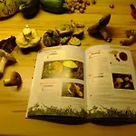 D'hotes Le Foursou Отель типа 