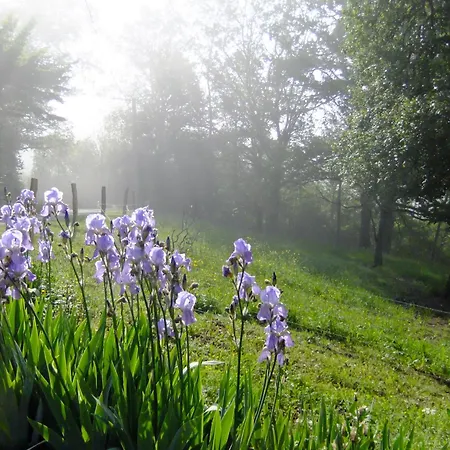 Oda ve Kahvaltı D'hotes Le Foursou Le Bouyssou