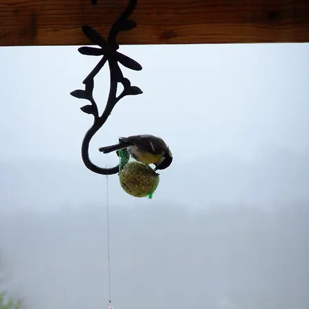 D'hotes Le Foursou Oda ve Kahvaltı Le Bouyssou