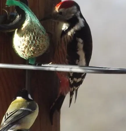 D'hotes Le Foursou Le Bouyssou