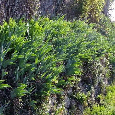 D'hôtes Le Foursou 3* Le Bouyssou
