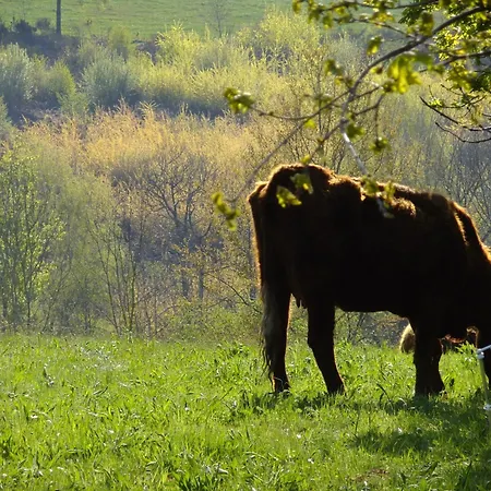 D'hôtes Le Foursou 3* Le Bouyssou