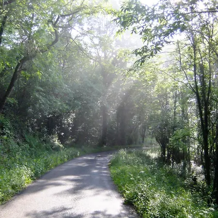Alojamento de Acomodação e Pequeno-almoço D'hôtes Le Foursou Le Bouyssou