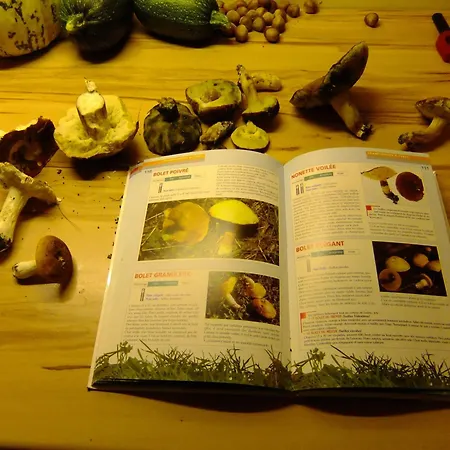 D'hôtes Le Foursou Alojamento de Acomodação e Pequeno-almoço