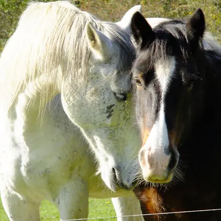 Alojamento de Acomodação e Pequeno-almoço D'hôtes Le Foursou 3*