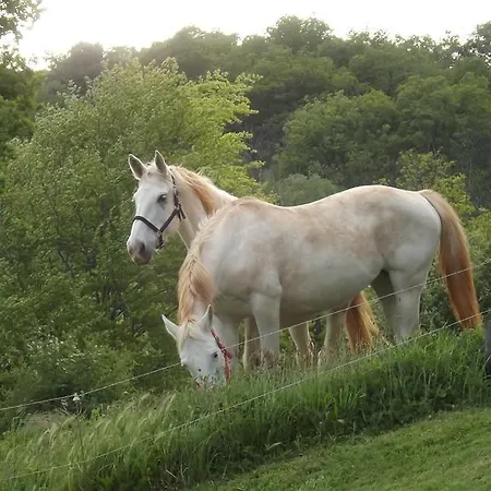 Alojamento de Acomodação e Pequeno-almoço D'hôtes Le Foursou Le Bouyssou
